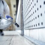 Things to remember when you choose pest control services